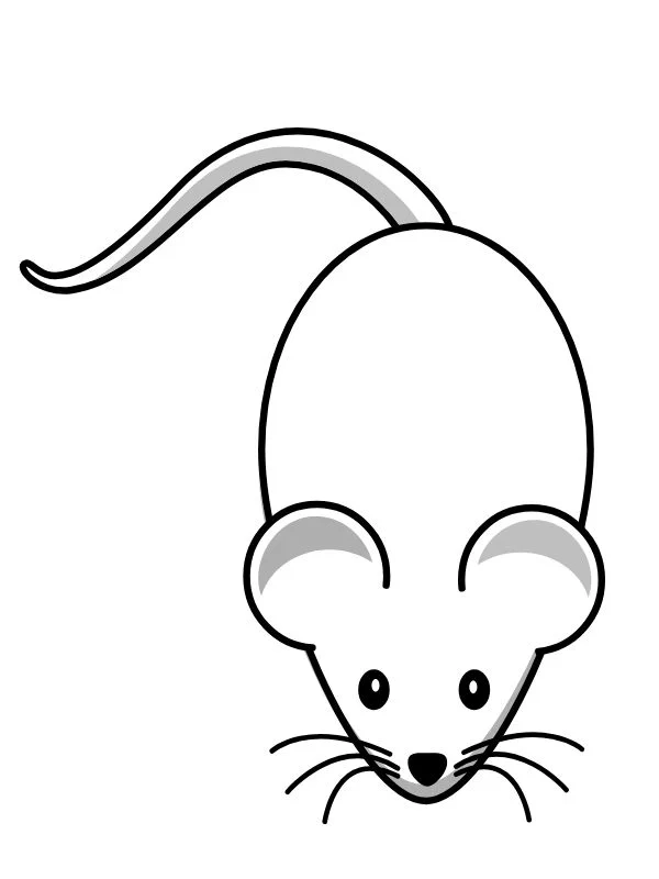 Tô màu nhân vật yêu thích qua hình mickey tô màu đáng yêu