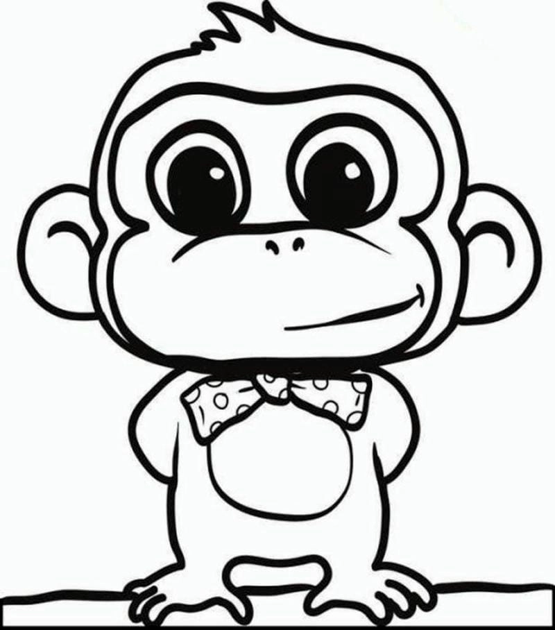 Khơi dậy đam mê qua tô màu khỉ