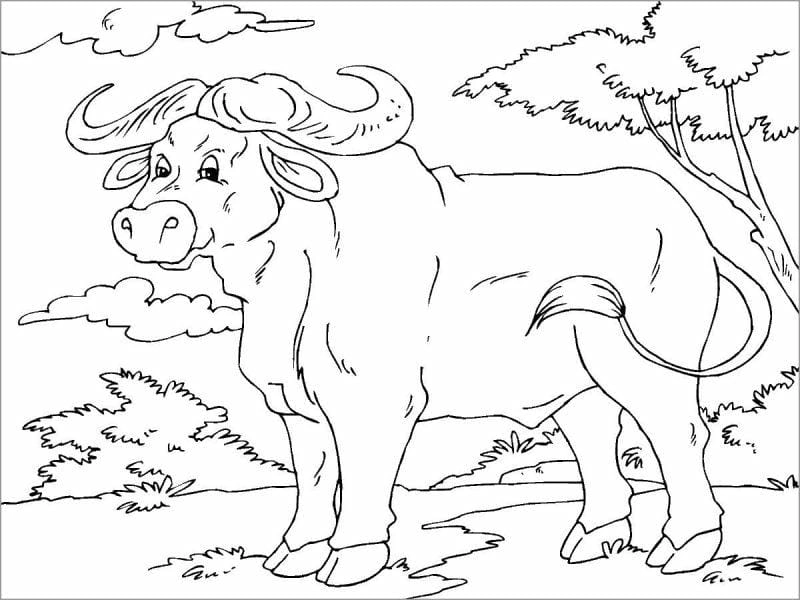 Khám phá ngay các mẫu tranh to màu con trâu