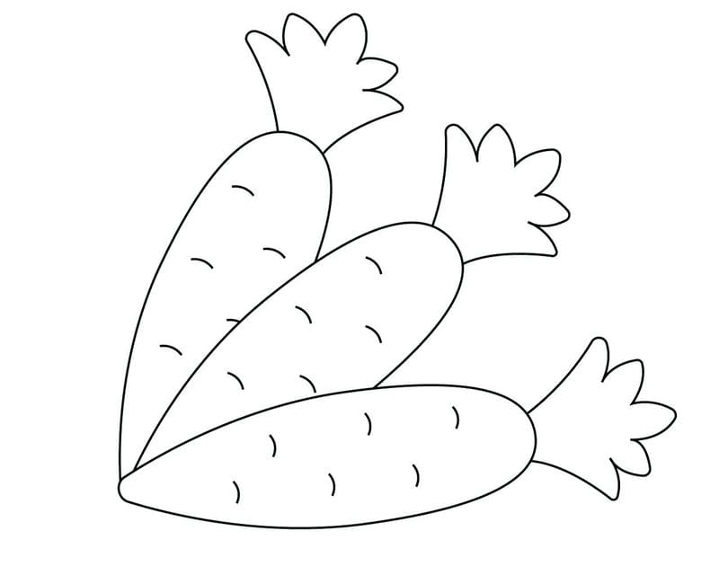 Khám phá bộ tranh tô màu củ cà rốt đẹp dễ thương