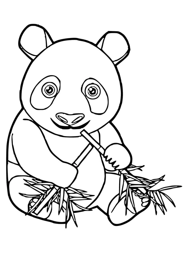 Tập hợp mẫu gấu tô màu cho bé dễ thương