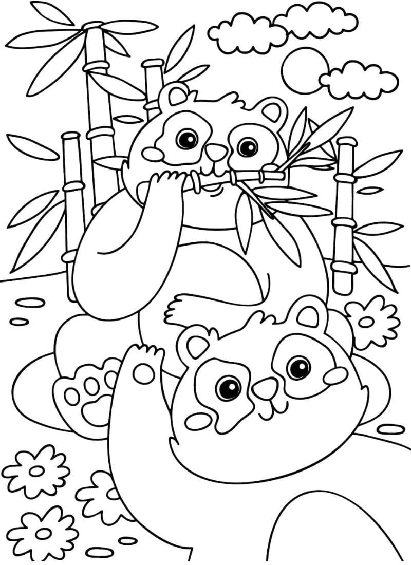 Tổng hợp hình gấu tô màu cho bé sáng tạo