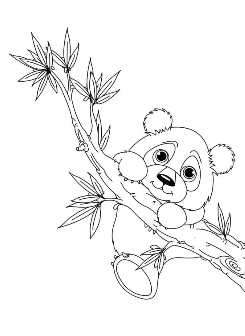 Hình vẽ con gấu cho bé tô màu đáng yêu dễ tải