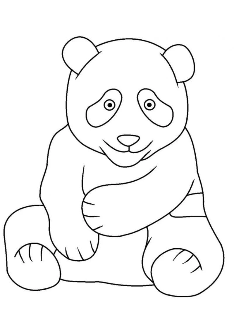 Cùng bé khám phá tranh to mau con gau sáng tạo Tranh to màu con gấu đẹp