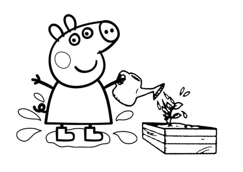 Mẹ tải ngay bộ tô màu heo peppa cực dễ thương