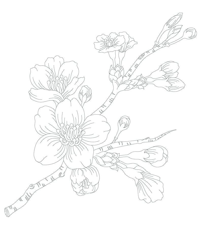 Bé tô sáng tạo với tranh tô màu hoa đào kết hợp trái cây