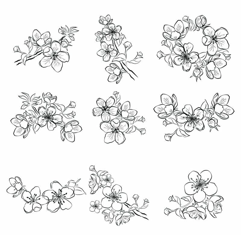 Khám phá bộ tranh tô màu hoa đào dành riêng cho bé