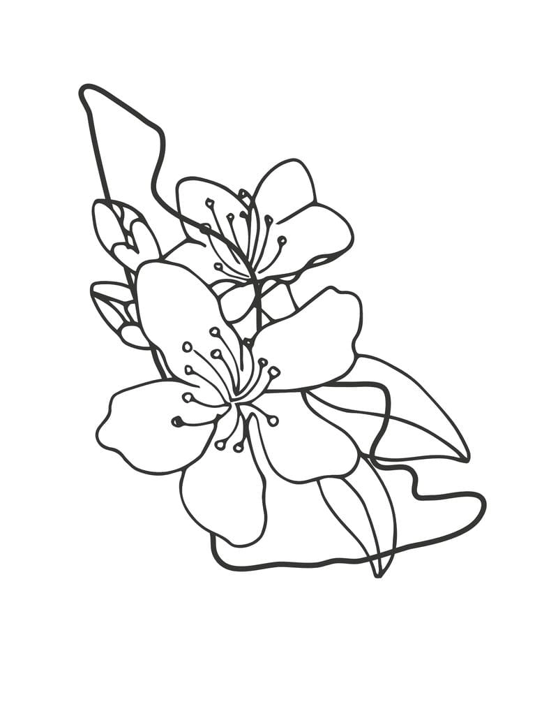 Tô sắc rực rỡ với bộ tranh tô màu hoa đào đón xuân