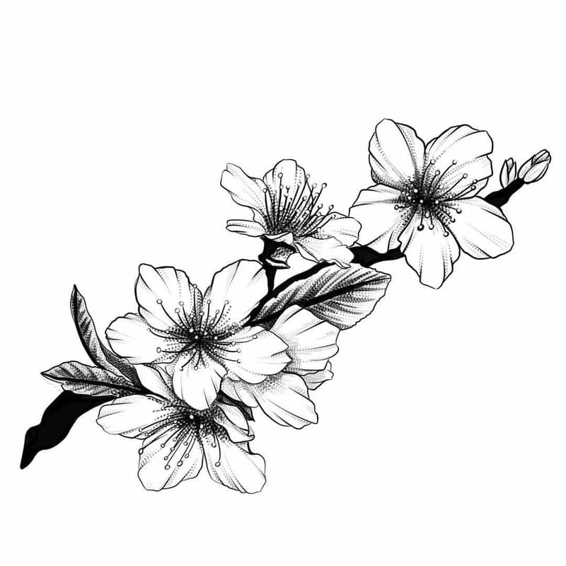 Bé làm quen tết qua tranh tô màu hoa đào dễ thương