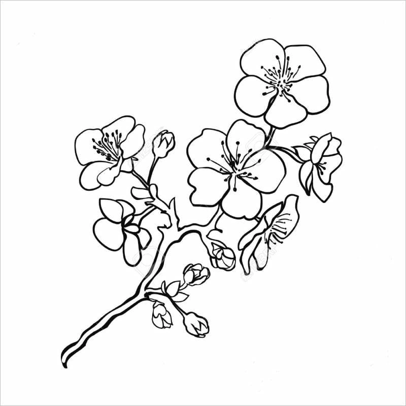 Khơi gợi sáng tạo qua tranh tô màu hoa đào sinh động