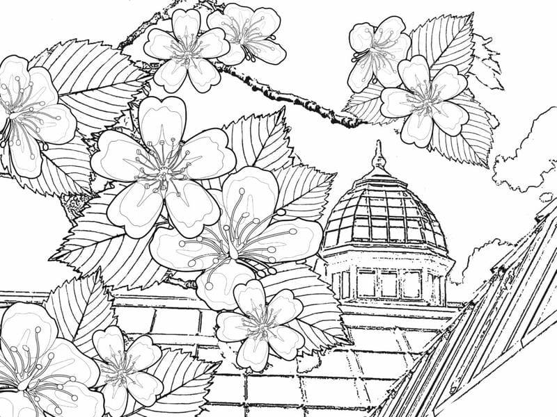 Mẫu tô màu cành hoa đào giúp bé rèn luyện sự khéo léo