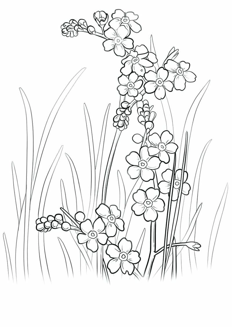 Bé học sắc xuân qua tô màu hoa mai hoa đào truyền thống