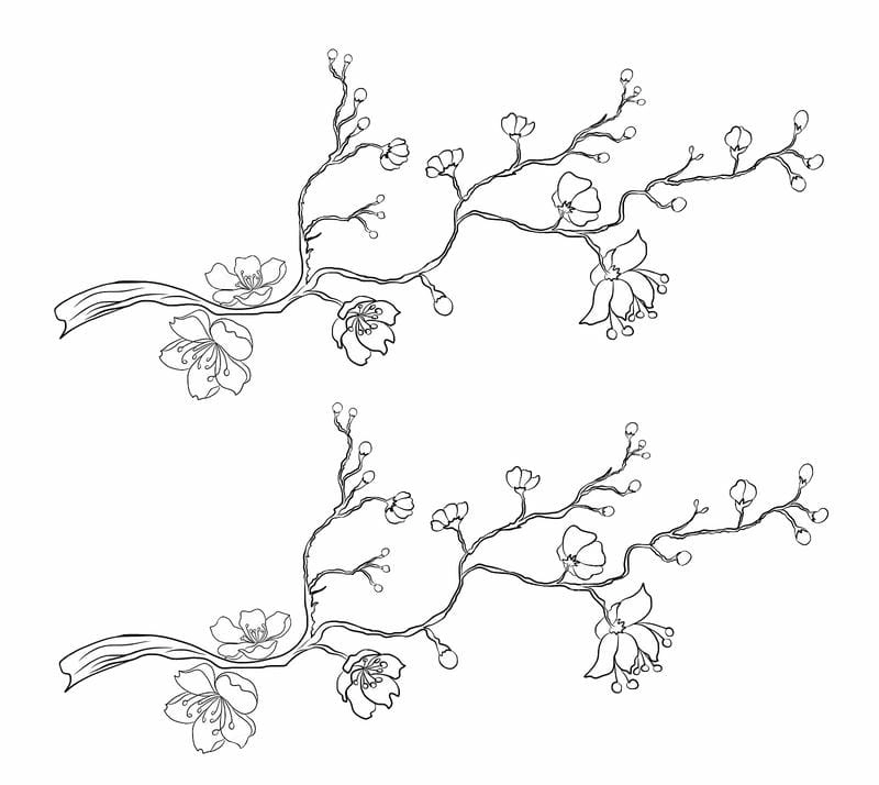 Cùng bé sáng tạo với tô màu hoa đào hoa mai đón Tết