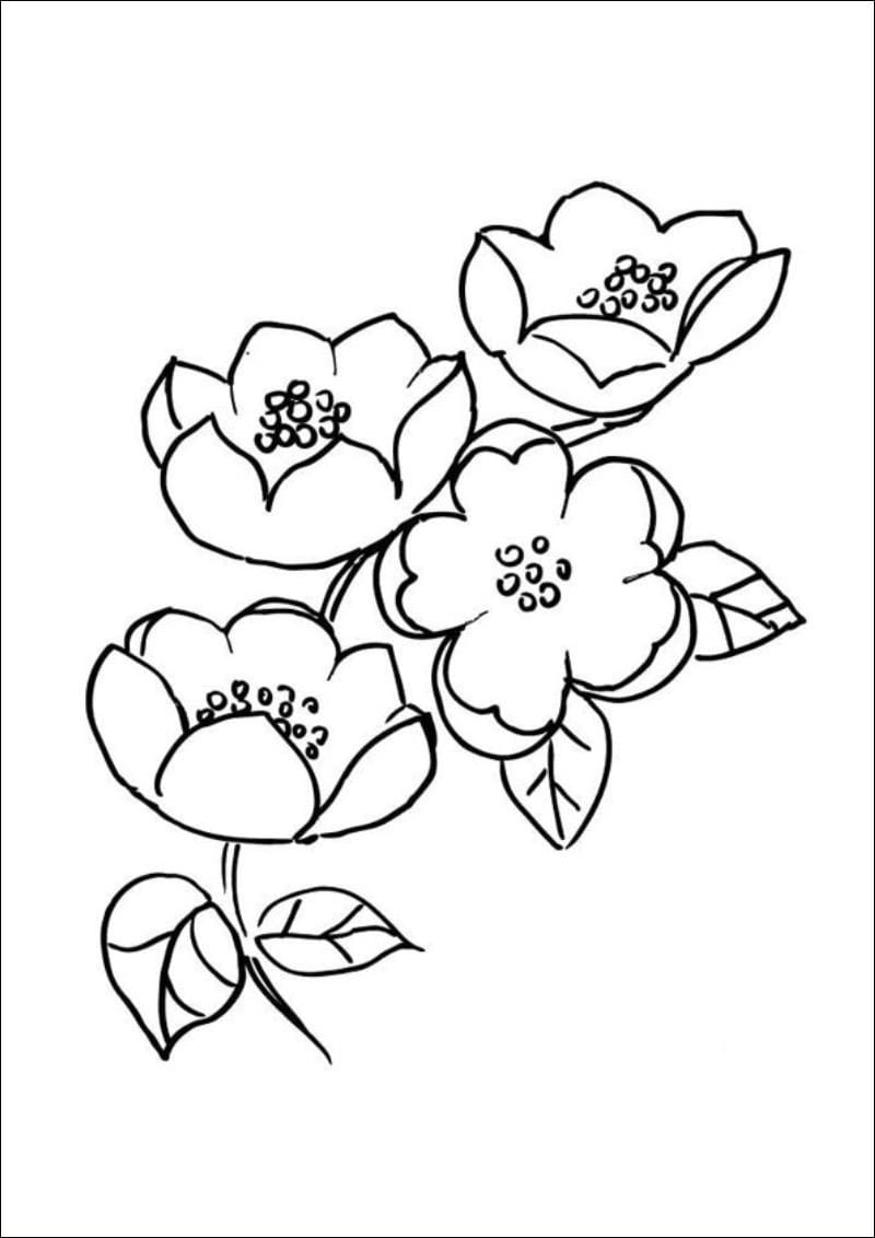 Nét đẹp mùa xuân trong tranh tô màu hoa đào tết cho bé