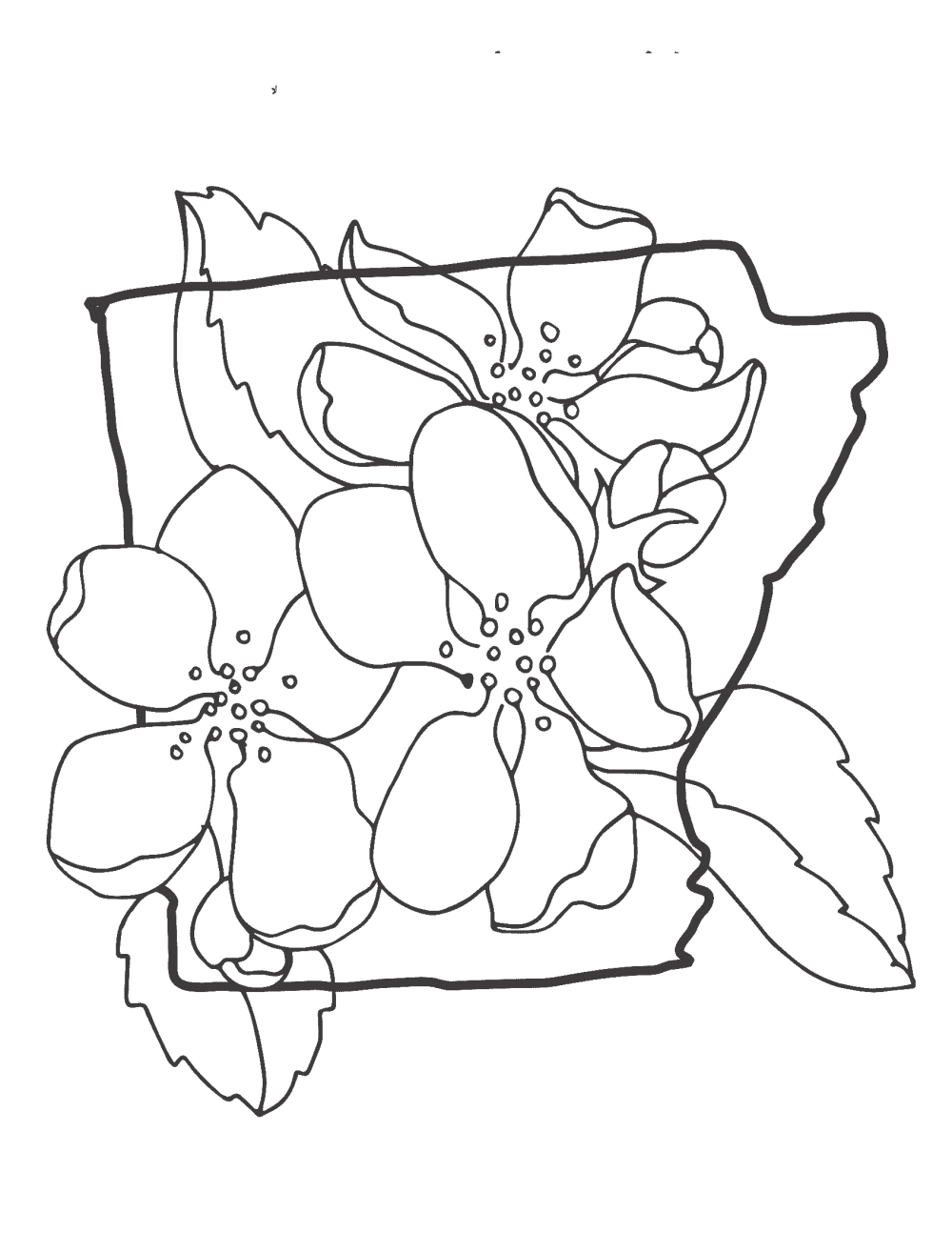 Bé học tô màu qua tranh tô màu cây đào đơn giản mà đẹp