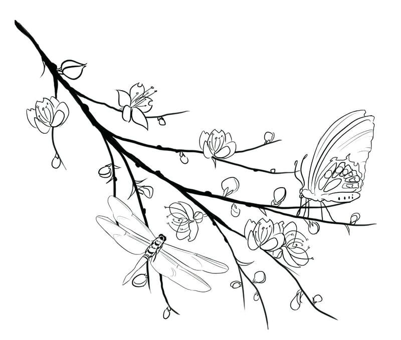 Trang trí lớp với tranh tô màu cành hoa mai