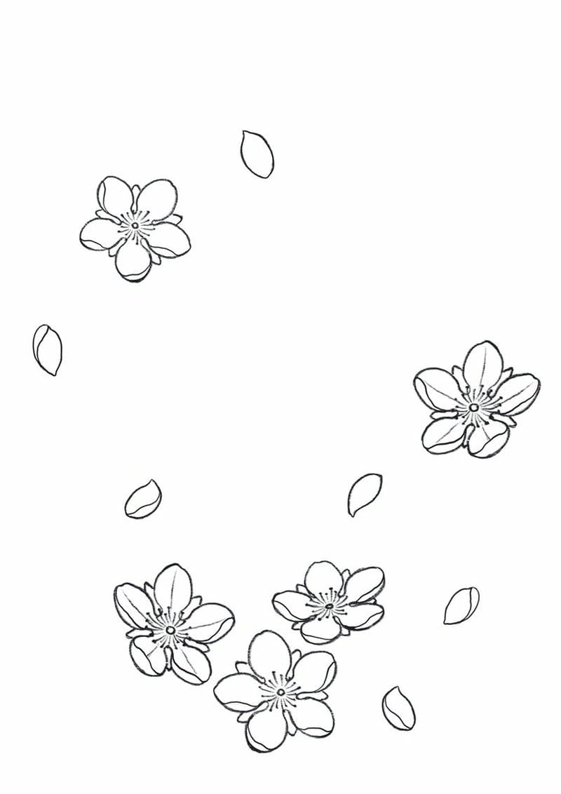 Tết thêm vui với bộ tô màu hoa mai sinh động