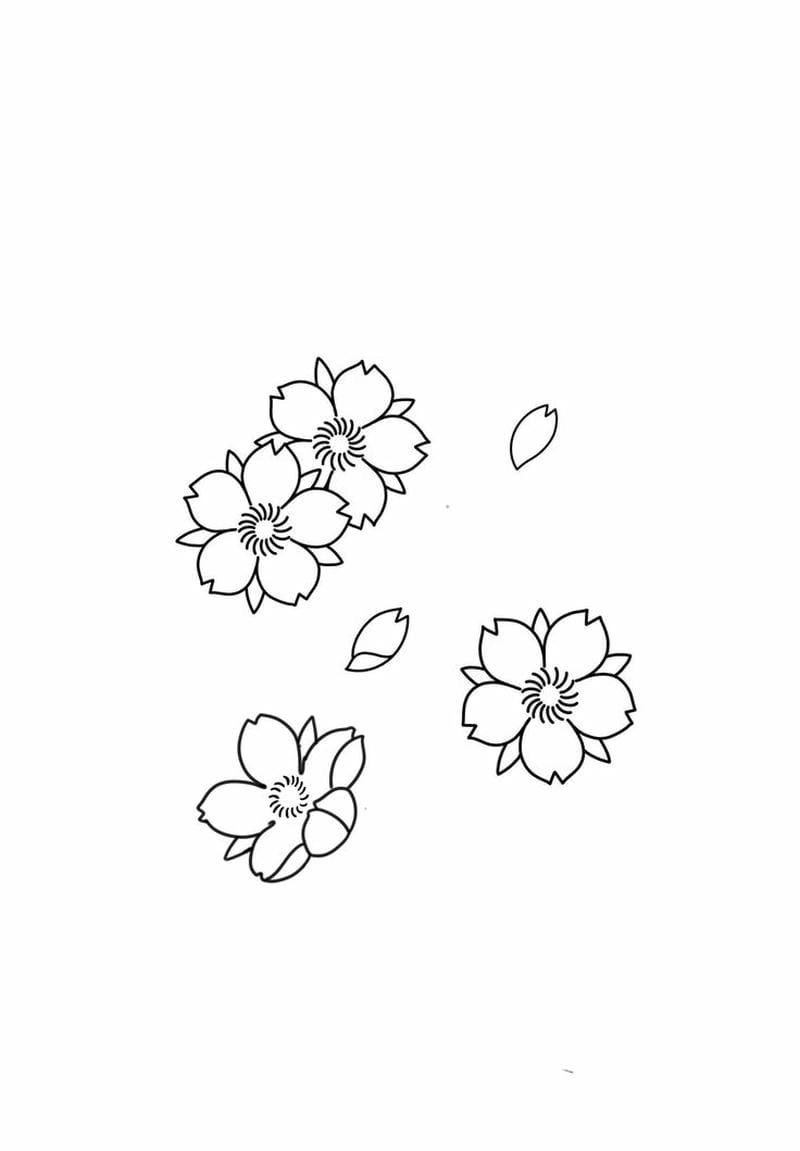 Bé khám phá tô màu hoa đào hoa mai đẹp mắt