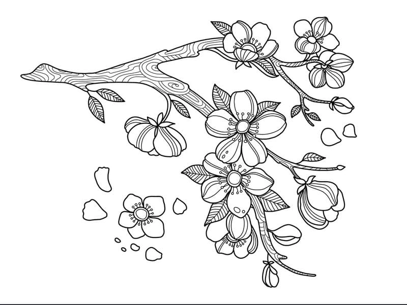 Bé thích thú khi tô màu hoa mai vàng