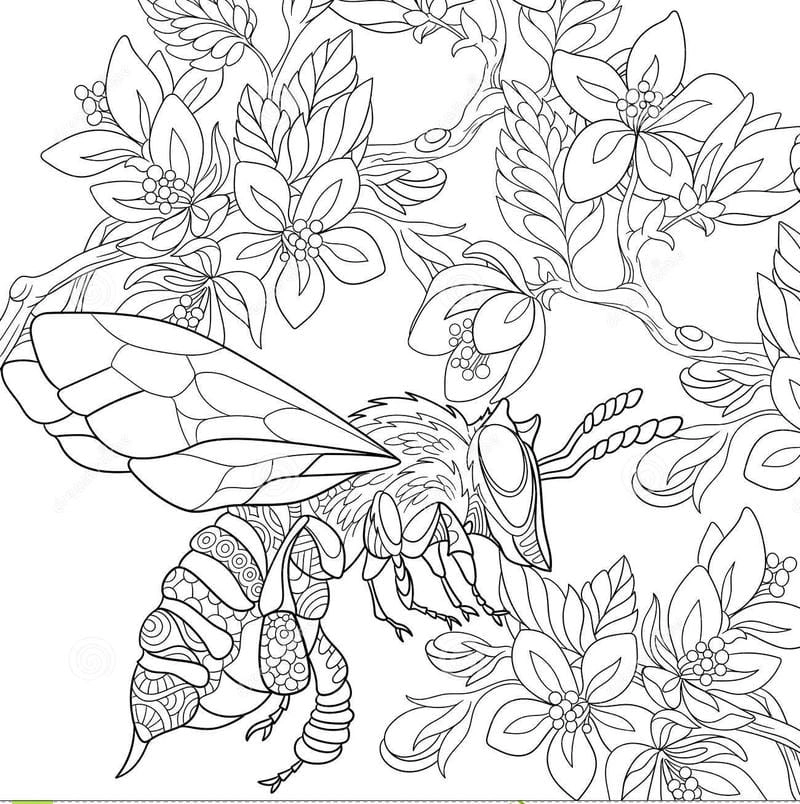 Tăng trí tuệ với tranh hoa mai tô màu