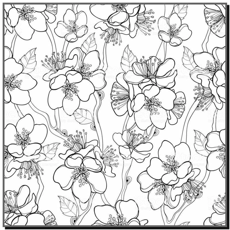 Phát triển tư duy cùng cây mai tô màu sinh động