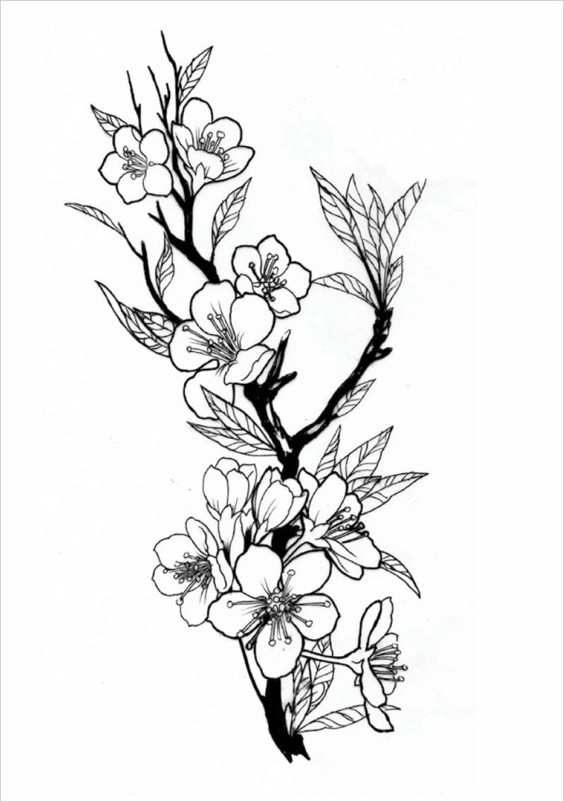 Bé tập tô với hình tô màu hoa mai xinh xắn