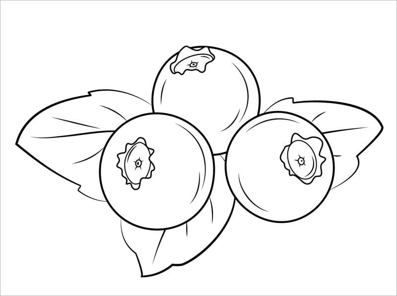 Hình ảnh sinh động trong tranh hoa quả tô màu