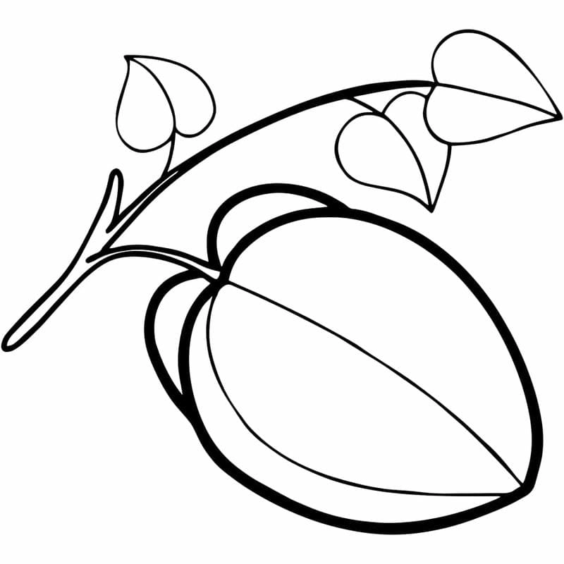 Tập nhận diện quả bằng tranh tô màu hình hoa quả