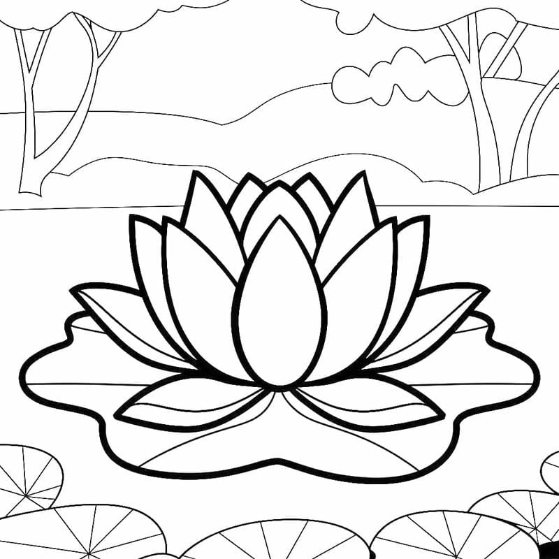 Khám phá bộ tranh tô màu hoa sen đẹp mắt cho bé tập tô
