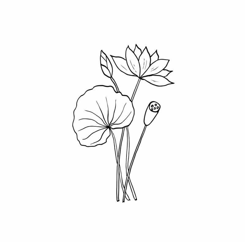 Bé luyện tay với hình tô màu hoa sen nhẹ nhàng tinh tế