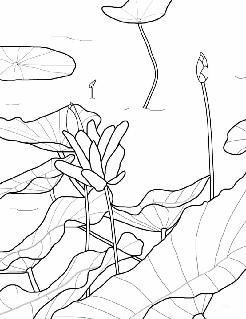 Tăng khả năng sáng tạo với tô màu hoa sen cho bé