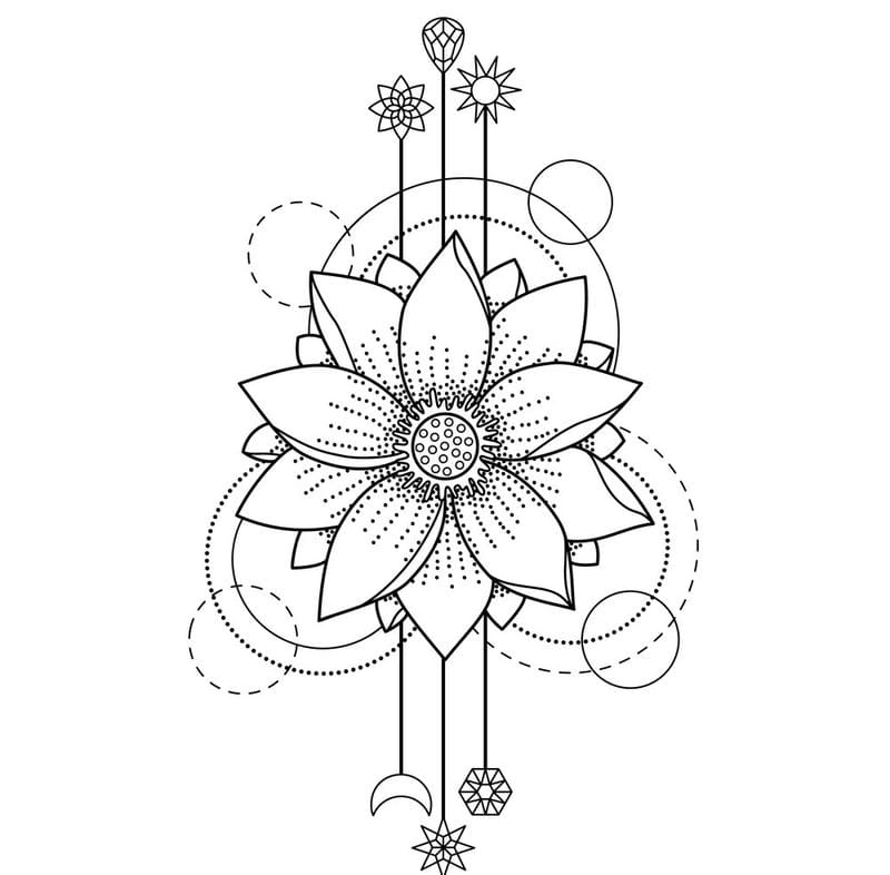 Bé học vẽ với tranh tô màu hoa sen đơn giản