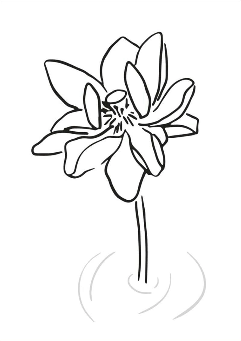 Tải ngay bộ tranh to mau hoa sen mới nhất