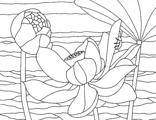 Giúp bé thư giãn với tranh tô màu hoa sen