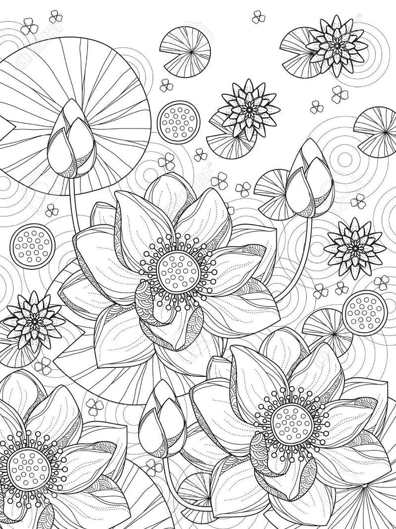 Gợi ý chọn tranh tô màu hoa sen đẹp dễ tô