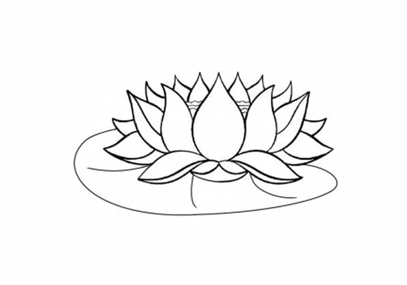 Mẫu tranh tô màu lá sen giúp bé sáng tạo