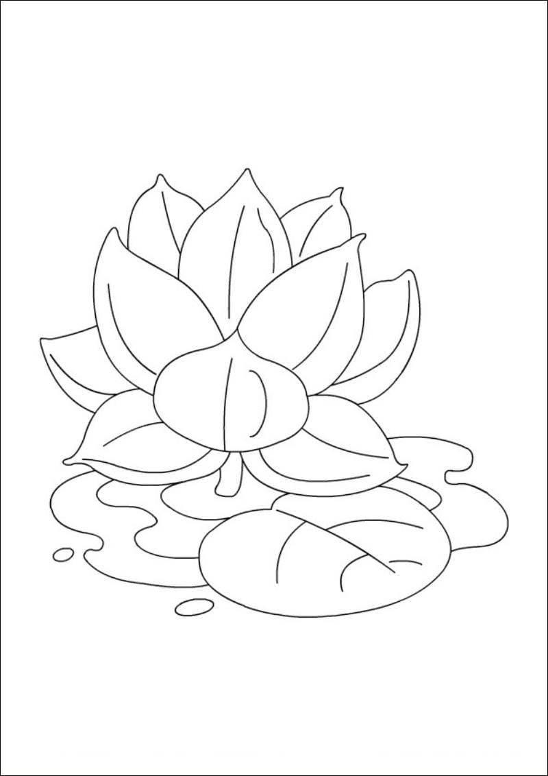 Tuyển chọn tranh tô màu hoa sen đẹp ấn tượng