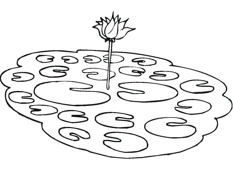 Tổng hợp tranh tô màu hoa sen đơn giản dễ thương