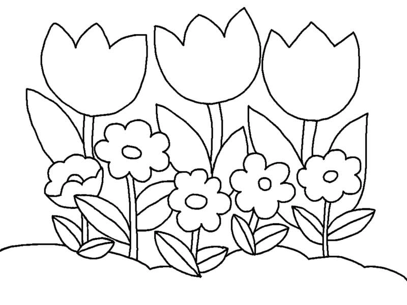 Tuyển chọn các mẫu hoa tulip tranh nghệ thuật nổi bật