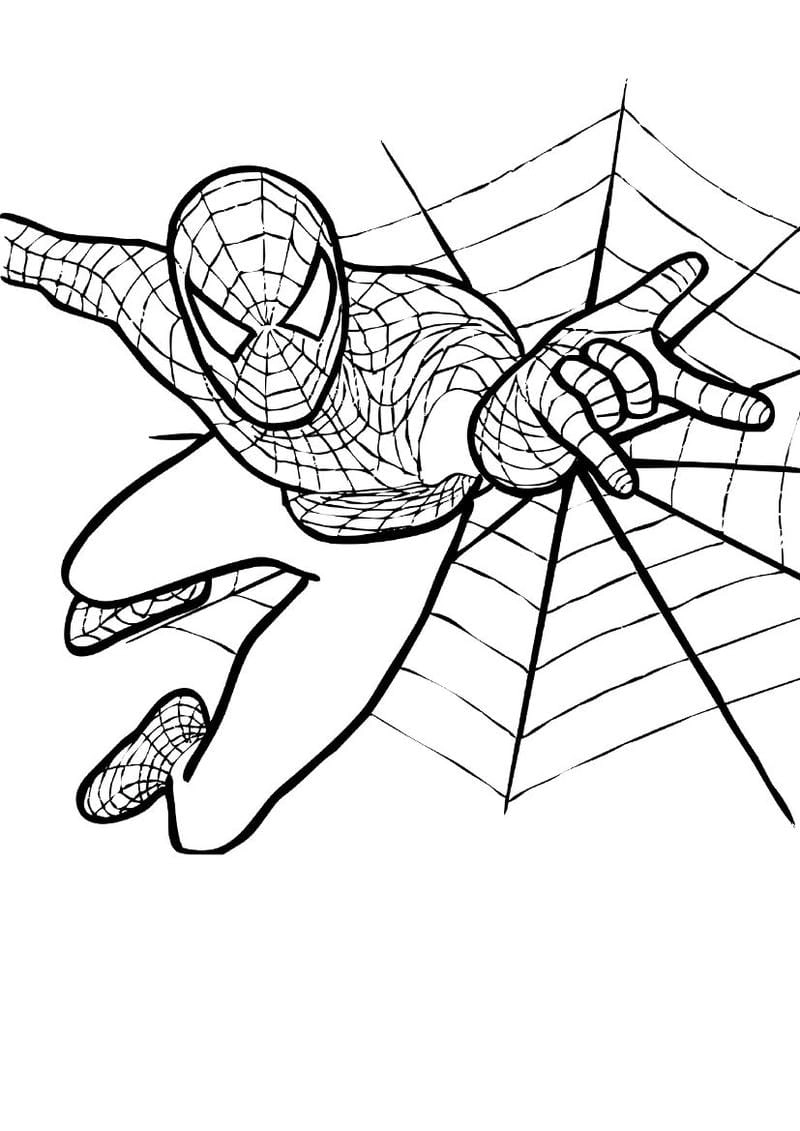 Tranh tô màu người nhện siêu đẹp với hình tô màu spider man