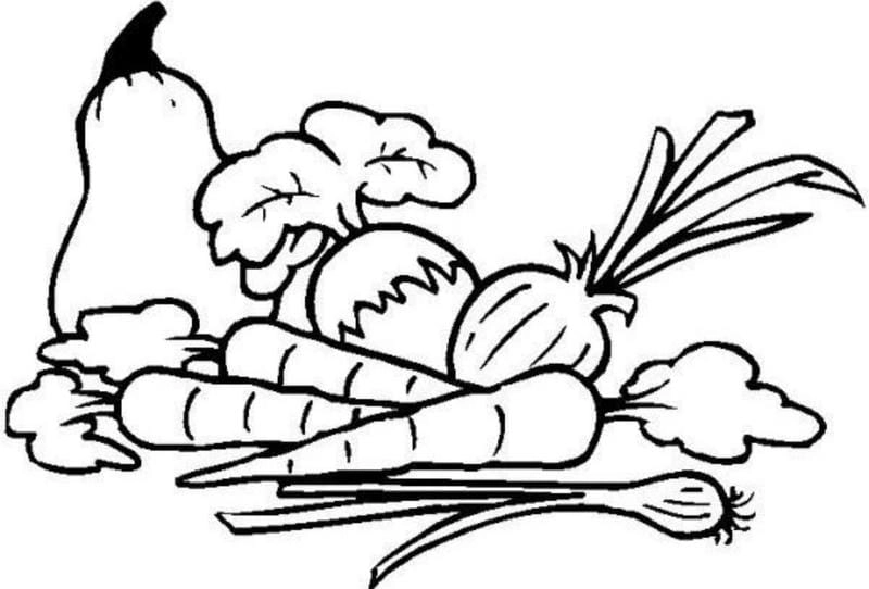 Khơi dậy đam mê qua bộ tranh tô màu rau củ dành riêng cho bé yêu