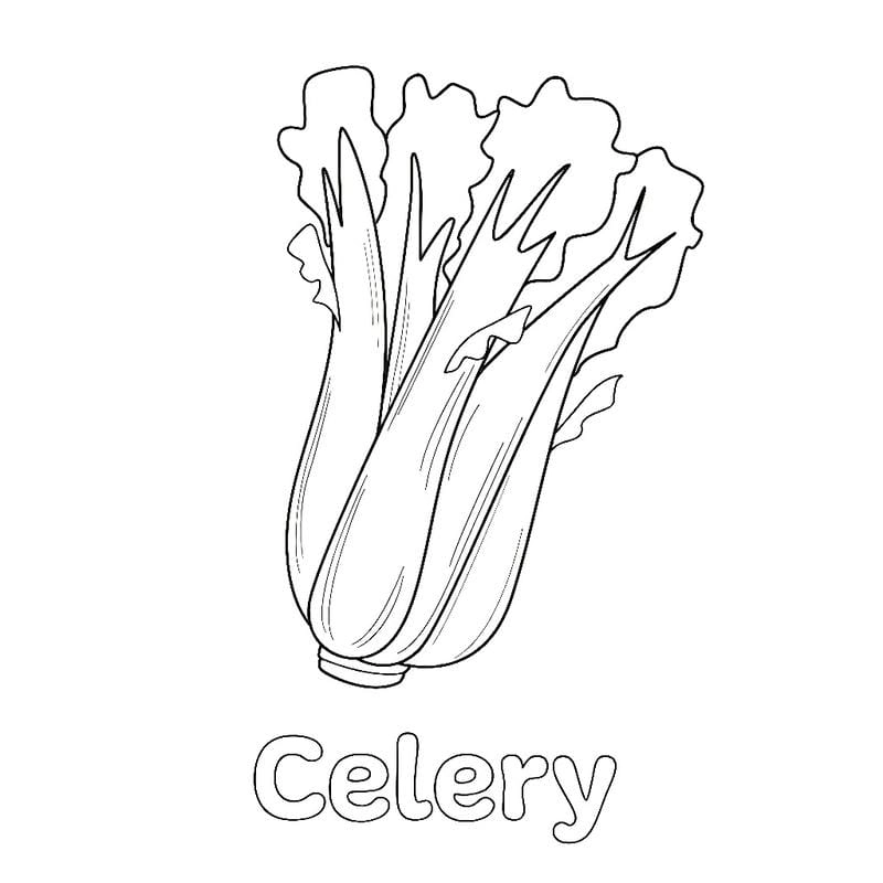 Chọn ngay tranh tô màu rau củ quả cho bé với mẫu đa dạng đẹp mắt