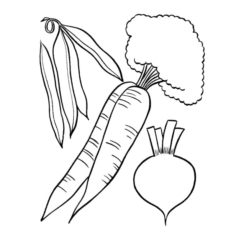 Khám phá thế giới thực phẩm cùng tô màu củ quả đơn giản và dễ hiểu