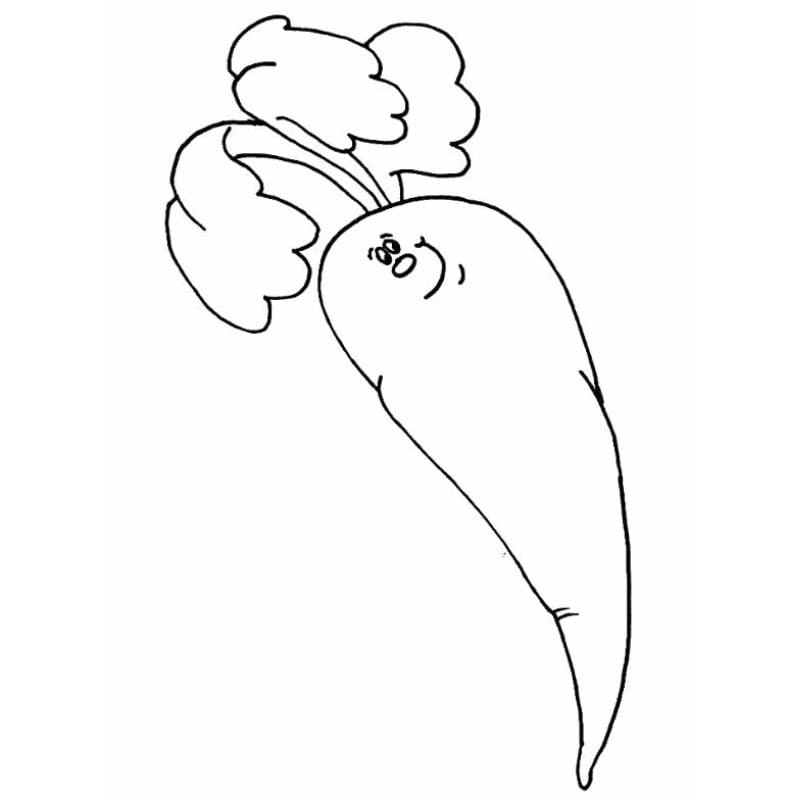 Rèn luyện kỹ năng qua tranh tô màu rau củ quả và tranh to màu rau củ quả cho bé