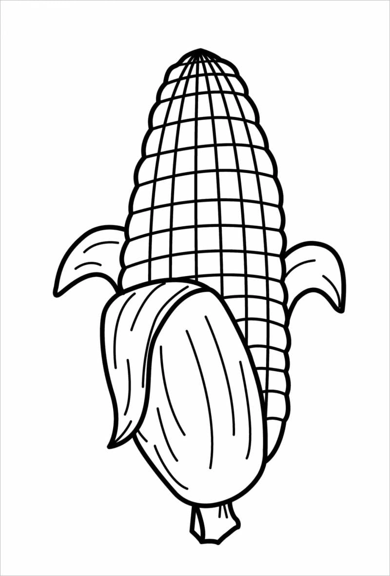 Cùng bé trải nghiệm tranh tô màu rau củ quả và tranh tô màu củ quả cho bé vui nhộn