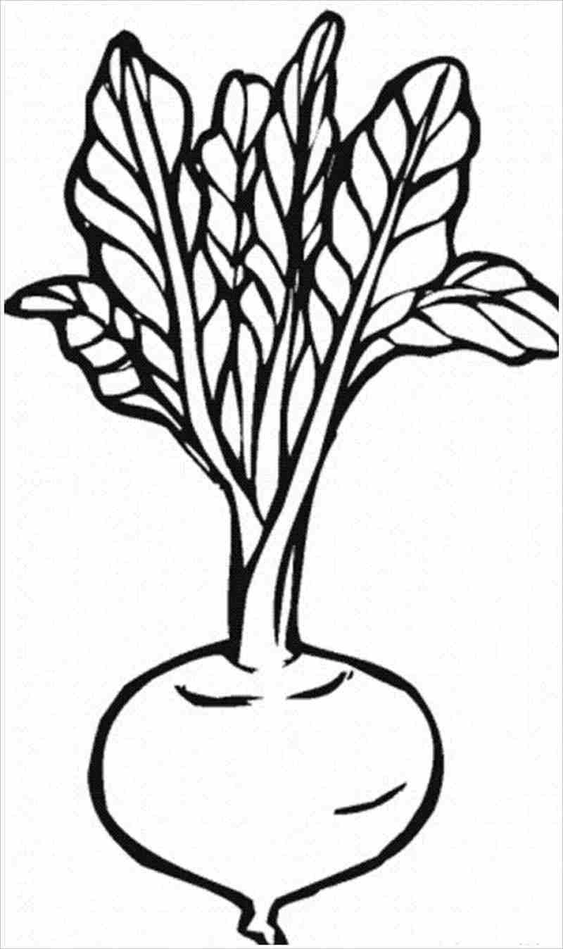 Khám phá thế giới rau củ quả tô màu cùng bộ tranh tô màu rau củ quả dành cho bé