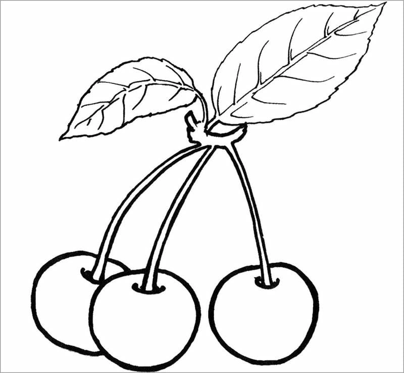 Tăng tư duy qua hình vẽ trái cây cho bé tô màu