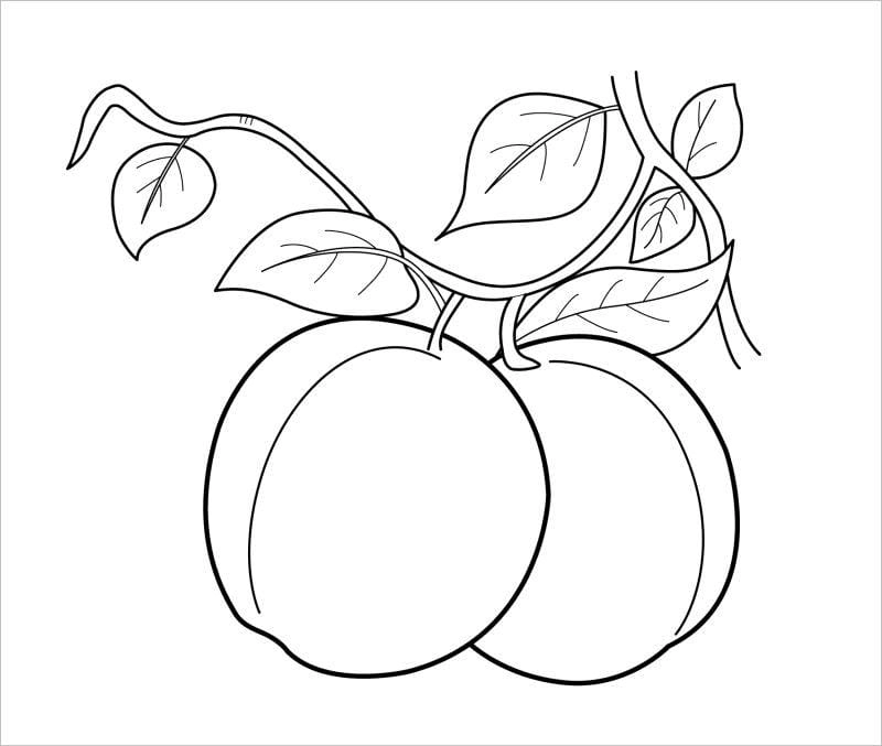 Tập tô dễ dàng qua hình vẽ trái cây đơn giản