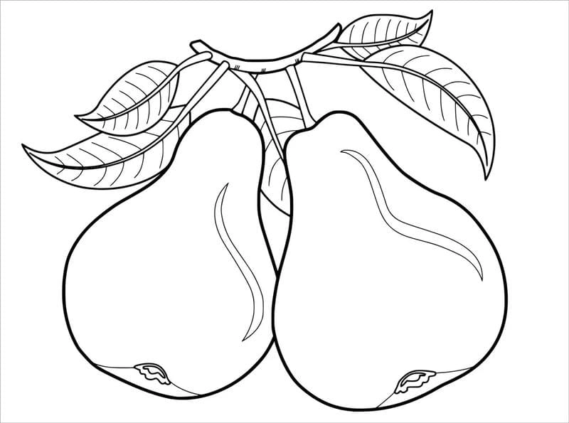 Gợi ý tranh tô màu quả lê cho bé