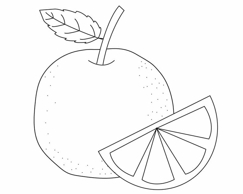 Dành riêng tranh to màu trái cây cho be 3 tuổi